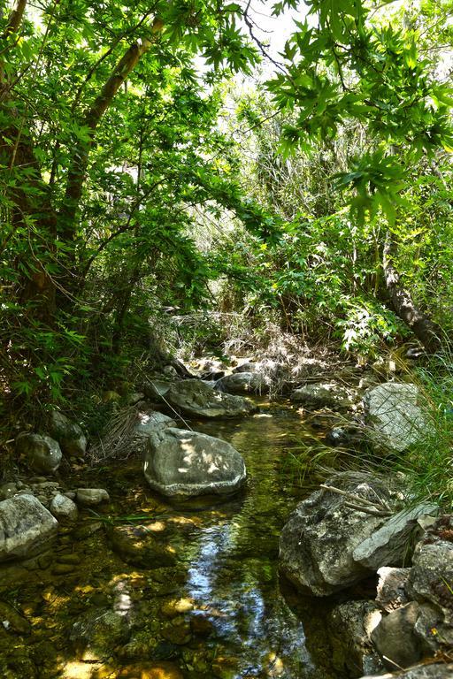 Aspros Potamos 2* Макригиалос